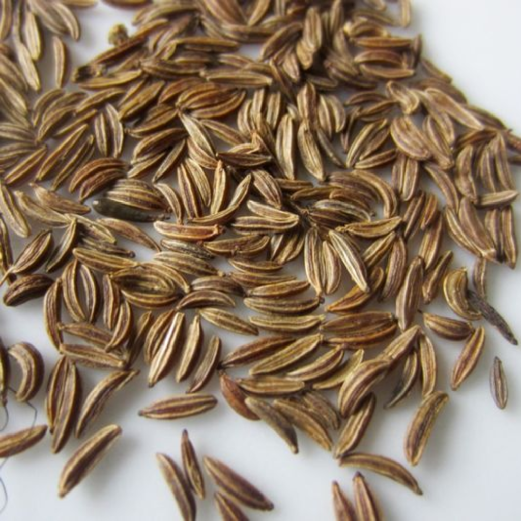 Cumin Seeds